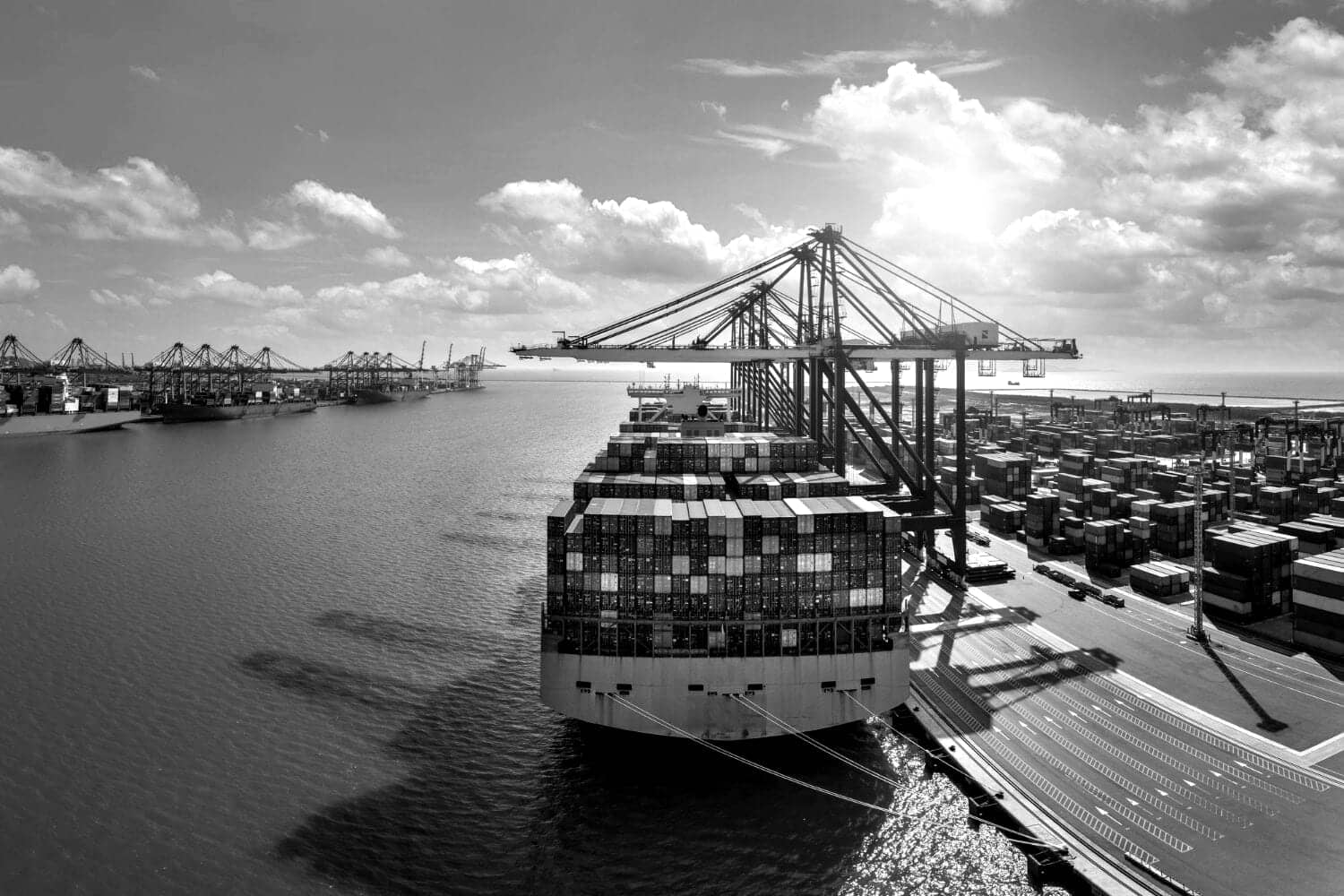 Container vessel berthed under ship-to-shore cranes